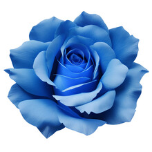 bluerose☆ Rosa no azul – Imagem gratuita de domínio público | Public Domain