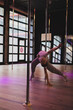 Künstler Pole Dance Frau in Kunst AI  Spezial Effekte vor der Kamera mit Berliner Techno Musik in Pink
