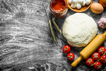 Poster - Preparation pizza. Various ingredients for cooking pizza.