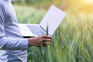Cropped image of smart young farmer holding laptop computer, barley field as agricultural technology concept background.