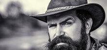 Cowboys In Hat. Handsome Bearded Macho. Man Unshaven Cowboys. American Cowboy