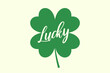 Four leaf clover with lucky word. Shamrock leaf.