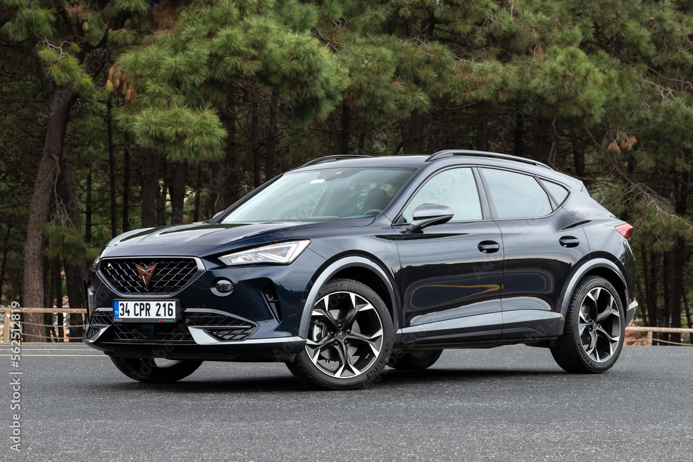 Mobile Cupra Formentor