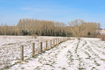 Wall Mural - Snowy winter farm landscape under a cear blue sky near Munkzwalm, Flanders, Belgium