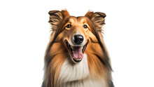 Rough Collie Dog In A Invisible Background Generative AI