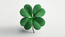 4 Leaf Clover, Green Color, No Objects Around, Bench Background, Photography, 3D, Illustration, 03
