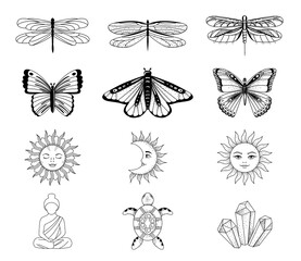 Boho vector collection of magic line art. Dragonfly, butterfly, moon and sun. Vector illustration.