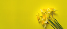 Bouquet Of Five Yellow Daffodils On A Yellow Background With Space For Text.