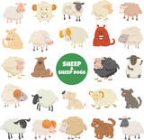 Fototapeta Pokój dzieciecy - cartoon sheep and sheepdogs characters big set