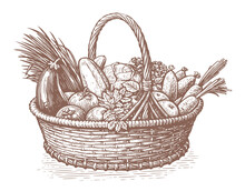 Hand Drawn Basket Full Of Fresh Vegetables. Farm Organic Food. Sketch Vintage Vector Illustration