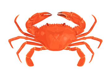 Wall Mural - Crab isolated on white background. Vector eps 10. crab vector on sand color background, perfect for wallpaper or design elements