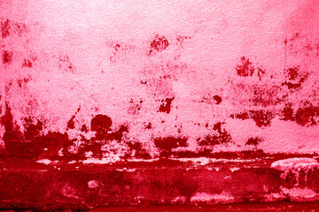 old grunge concrete wall texture or background viva magenta color of the year 2023