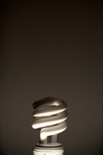 Ecologically Friendly Compact Fluorescent Light Bulb