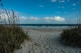 Fototapeta Perspektywa 3d - A Walking Path Through the Sand Dunes on the Beach