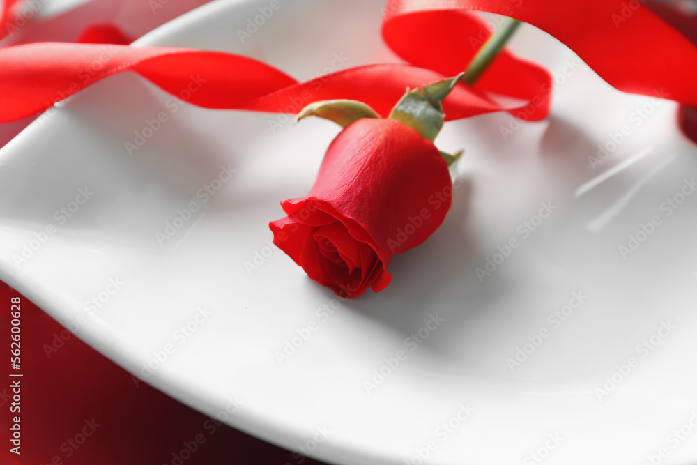 White plate with beautiful rose flower, closeup. Valentine's Day celebration