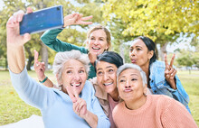 Senior People, Friends And Phone For Selfie At The Park Together With Smile And Peace Sign In The Outdoors. Happy Group Of Silly Elderly Women Smiling For Photo Looking At Smartphone In Nature