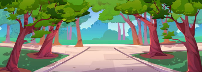 Wall Mural - Summer scenery, city park landscape with green trees and grass, white stone walkway. Public empty sunny garden with plants and paths, vector cartoon illustration