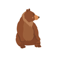 Cute Brown Bear Sitting Flat Vector Illustration. Drawing Of Wild Grizzly Bear Cartoon Character Resting Isolated On White Background. Wildlife, Nature Concept