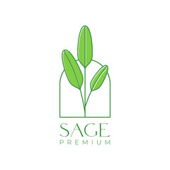 sage leaves plant herb aroma smoke therapy modern logo design vector icon illustration template