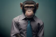portrait of a monkey in business uniform, generative AI