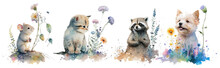 Safari Animal Set Mouse, Cat, Raccoon, Dog In Watercolor Style. Isolated Vector Illustration