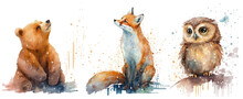 Safari Animal Set Bear, Fox, Owl In Watercolor Style. Isolated Vector Illustration