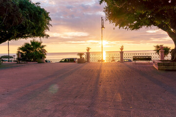 sunrise or sunset scenic view on a beautiful square with pavement, two beautiful green trees and amazing sky