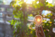 © maeching - Light bulbs that grow, in the concept of energy in nature.