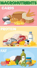 Poster - Macronutrients diagram with food ingredients