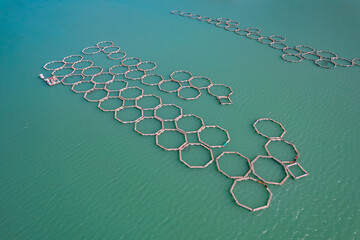 Wall Mural - Fish farm for breeding cages for trout and salmon. Concept aquaculture pisciculture, aerial top view