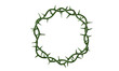 © upen - green thorn circle isolated transparent background png