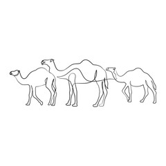 Wall Mural - Camel continuous one line art drawing
