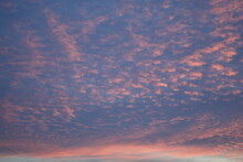 Rays Of The Sun Through Cirrus Pink Clouds Against The Background Of The Sunset Sky, Pink Blue Rainy Clouds Against The Background Of The Winter Sky Illuminated By The Rays Of The Sun, Evening Sunset 