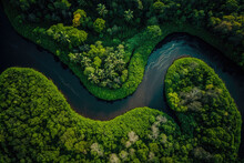 A River That Flows Through The Middle Of The Rainforest. Many Green Tropical Trees. Drone Shot. Generative AI