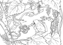 Linear Drawing Of A Frog In Nature. High Quality Illustration