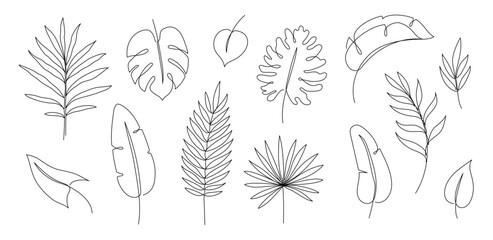 Wall Mural - Outline tropic palm leaf set. One continuous line art tropic tree leaves. Editable stroke monstera, jungle foliage floral element. Isolated vector illustration