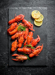 Poster - Boiled crayfish on a black stone Board with slices of lemon.