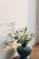 Wall Mural - Beautiful little blue flowers in vase in warm evening sunlight on rustic wooden table. Delicate myosotis petals, forget me not spring flowers. Simple countryside living, home decor