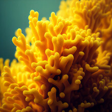 Close Up Of A Yellow Coral Reef In The Sea, Created With Generative Ai