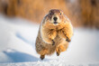 Groundhog runs in the snow. Groundhog Day. Generative AI
