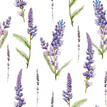 Lavender Flowers Floral Watercolor Decorative Seamless Pattern Background
