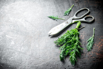 Canvas Print - Fresh dill with scissors.