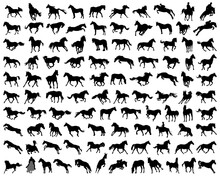 Set Of Silhouettes Of Horse