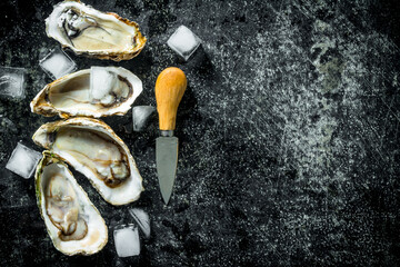 Sticker - Opened raw oysters with ice cubes and knife.