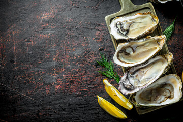 Wall Mural - Delicious fresh oysters with lemon slices and dill.