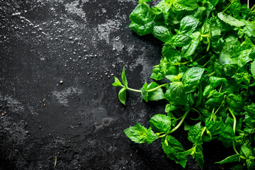 Wall Mural - Healthy food. Fragrant fresh mint.