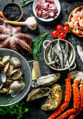 Wall Mural - A variety of delicious seafood.