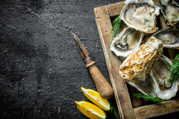 Sticker - Fresh raw oysters on a wooden tray with lemon slices.