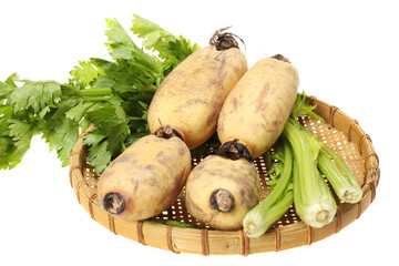 Poster - Lotus root on the white background