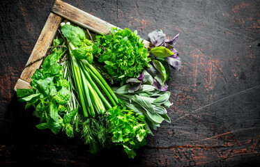 Wall Mural - Useful herbs on the wooden tray.